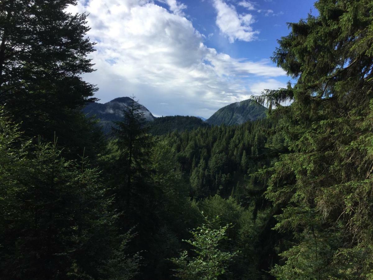 Ferienwohnung Almflair Chalet Thiersee Buitenkant foto